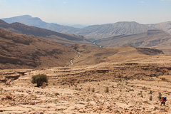 Oman 2014